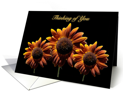 Thinking of You card (372398)