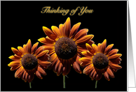 Thinking of You card