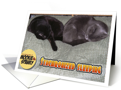 Synchronized Sleeping card (136015)