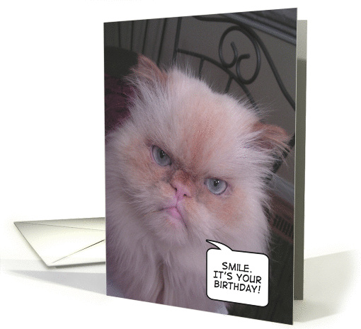 Himalayan cat smile for birthday card (574893)