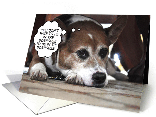 sad dog in the doghouse card (838613)