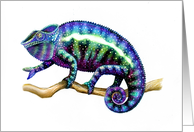 Panther Chameleon