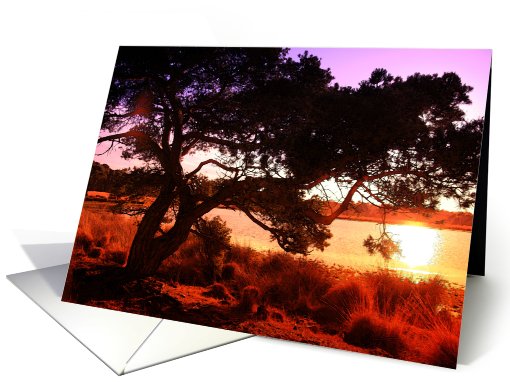 Sunset Landscape card (435853)