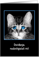 Goodbye, I will miss you in Serbian, sad blue-eyed kitten card