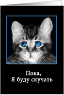 Goodbye, I will miss you in Russian, sad blue-eyed kitten card