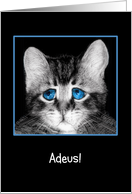 Goodbye, I will miss you in Portuguese, sad blue-eyed kitten card