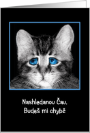 Goodbye, I will miss you in Czech, sad blue-eyed kitten card