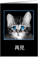 Goodbye in Chinese, sad blue-eyed kitten card