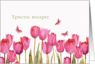 Happy Easter in Russian, tulips, butterflies card