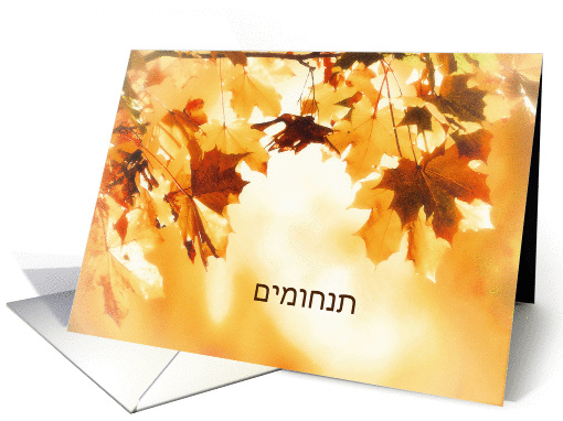 With deepest Sympathy in Hebrew, Card, Autumn leaves card (1285796)