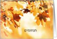 With deepest Sympathy in Hebrew, Card, Autumn leaves card