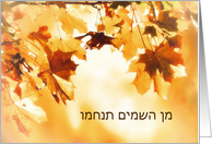 With deepest Sympathy in Hebrew (religious Sephardic) Autumn leaves card