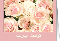 Happy Birthday in Farsi, pink and white roses card