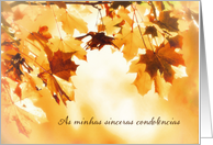 With deepest Sympathy in Portuguese, Autumn leaves card
