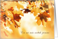 With deepest Sympathy in Spanish, Autumn leaves card