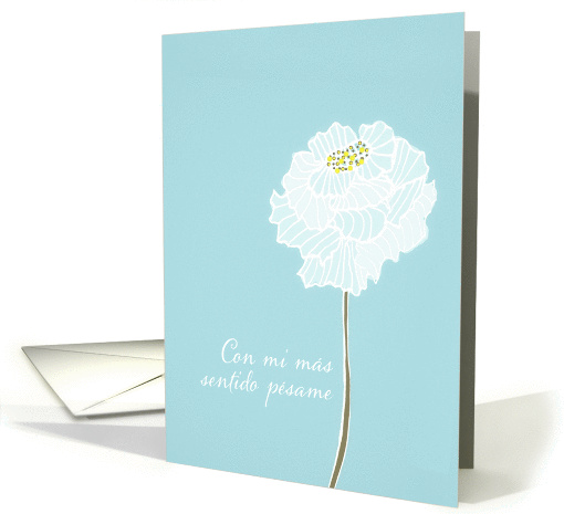 With deepest Sympathy in Spanish, white flower, mint background card