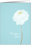 With deepest Sympathy in Norwegian, delicate white flower card