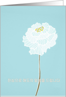 With deepest Sympathy in Korean, delicate white flower card