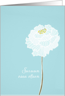 With deepest Sympathy in Finnish, delicate white flower card
