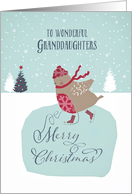 To my wonderful granddaughters, Christmas card, skating robin card