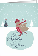 Merry Christmas in Welsh, Nadolig Llawen, skating robin card
