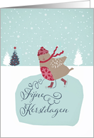 Merry Christmas in Dutch, fijne kerstdagen, skating robin card