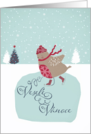 Merry Christmas in Czech, Vesel Vnoce, skating robin card