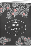 Merry Christmas in Italian, Yew Branches, Chalkboard effect card