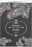 Merry Christmas in Bosnian, Yew Branches, Chalkboard effect card