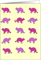 cats,cats,cats,yellow and mauve card