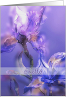 Hi, Hello, blue irises watercolor painting card
