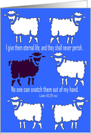 I give my sheep eternal life, Christian encouragement card