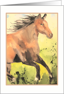 watercolor horse, blank note card