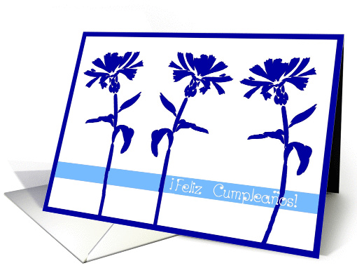 feliz cumpleanos  floral spanish birthday  card (241942)