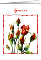 rose grazie card