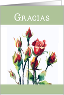 Thank You in Spanish, Gracias, Watercolor Roses card