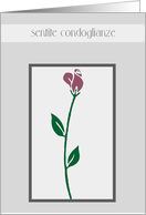 sentite condoglianze with deepest sympathy longstemmed rose card