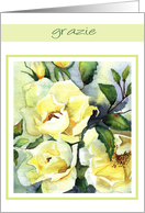 grazie white roses card