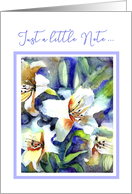 Just a little Note, To say Hello, White Lilies, Watercolor Painting card