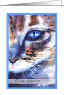 happy birthday grandson watercolor cat blue eye card