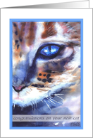 congratulations new pet watercolor cat blue eye card