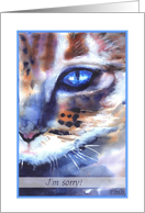 sorry watercolor cat blue eye card