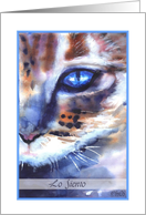 lo siento watercolor cat blue eye card