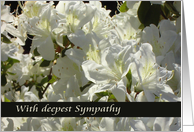 with deepest sympathy white rhododendron card