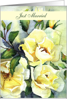 just married roses card