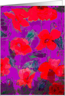 red poppies on purple card