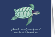 Encouragement, Move forward, Turtle card