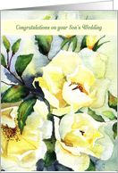Congratulations on your Son’s Wedding, Watercolor, White Roses card