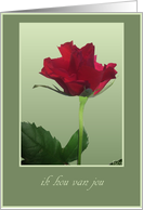 ik hou van jou red rose card