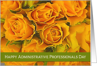 Happy Administrative Professionals Day, Yellow/Orange Roses card